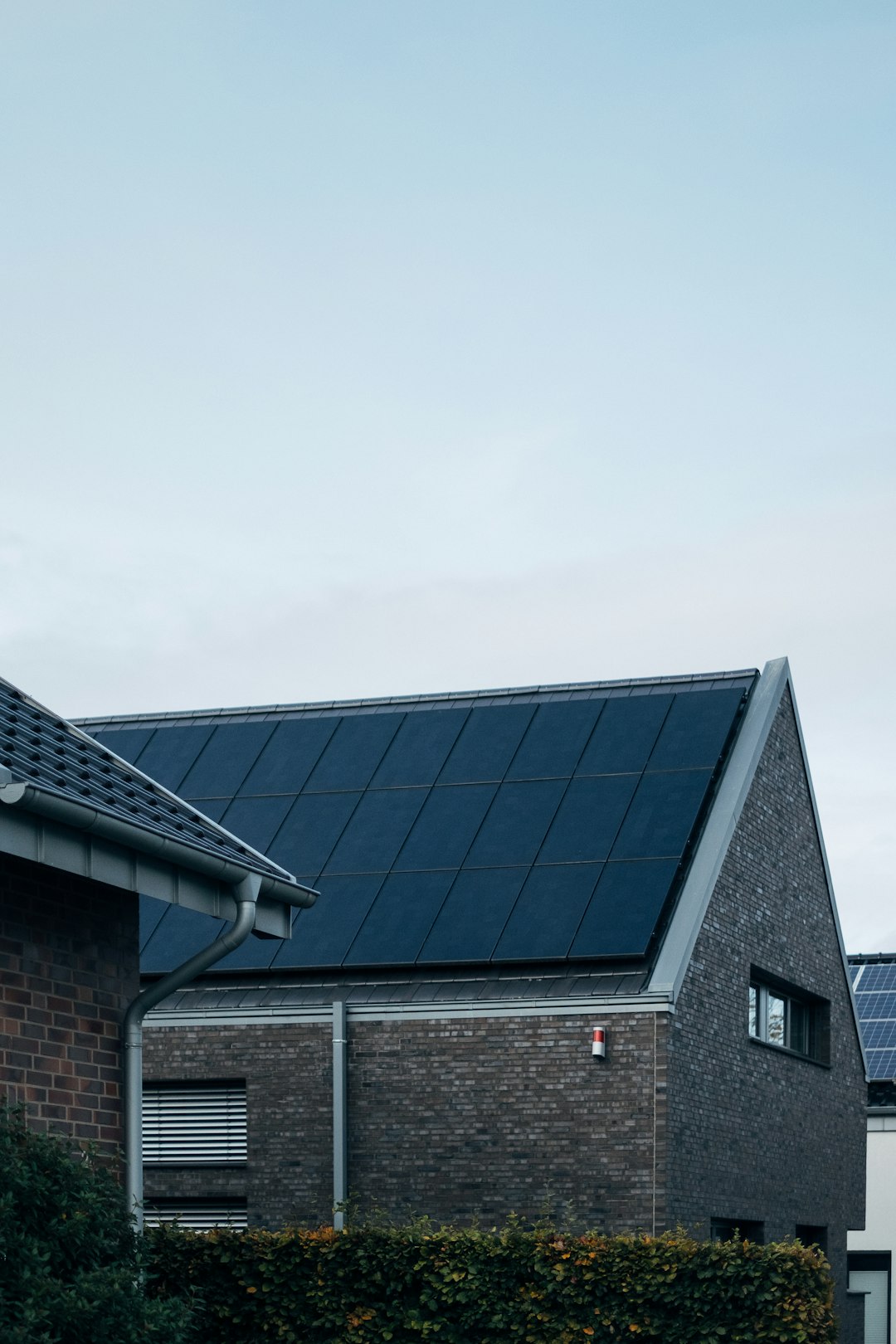 the future is renewable